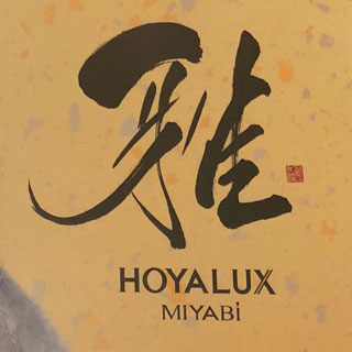 筆文字商品ロゴ　HOYA（株）さま「雅」
